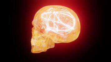 A glowing skull with a red light on it background loop video