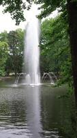 fountain in the park video