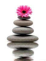 Zen Stone Stack with Pink Flower and Water Reflection on White Background photo