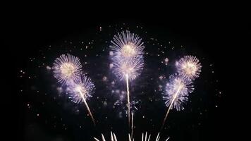 A Stunning Fireworks Display Lights Up the Night Sky with Brilliant Colors and video