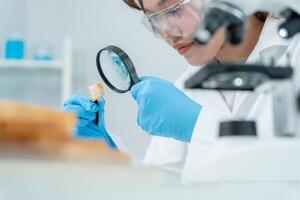 Scientist use magnifying glass to check physical occur from chemical in bake residues in laboratory. inspect the concentration of chemical residues, standard, find prohibited substances photo