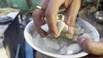 A person is holding a bowl of water with a white substance video