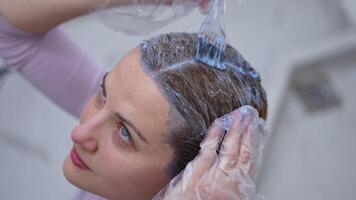 Transforming hair with color application in a chic salon video