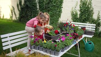 Gardening fun with kids in a vibrant backyard oasis video