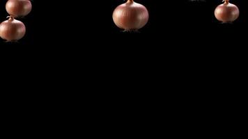 Multiple whole onions with roots falling and floating against a solid black background in a dynamic visual pattern,Abundant scattered whole onions, symbolizing agriculture, farm produce, and gourmet c video