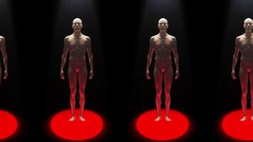Digital Human Anatomy Models Under Spotlights A Visual Study of Form and Structure video