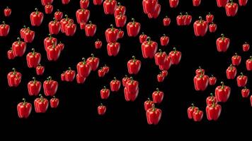 Vibrant Red Bell Peppers Falling Against a Pure Black Background, Seamless Loop Animation,Falling red bell peppers on a black background, perfect for food, cooking, and healthy eating themes.ripe red video