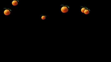 Animated Oranges Falling On Black Background Dynamic Fruit Pattern Loop, Falling Whole Oranges, Symbolizing Freshness, Vitamin C, And Healthy Eating Habits.fresh Ripe Oranges With Green Leaves On A B video