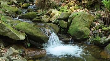 A waterfall cascades down a mountain river, tumbling over rugged stones and creating white foam video