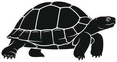 Black Turtle or Tortoise Silhouette vector