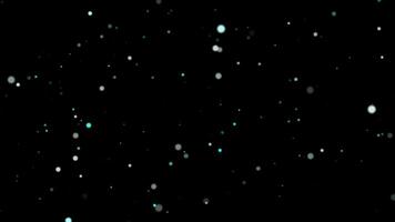 Snow falling on the black background video