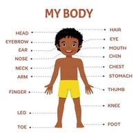 Body part of little African boy anatomy poster with diagram text label chart for kids learning educational purpose vector