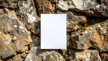 paper partially tucked into a deep cracked photo