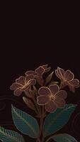 Vertical linear flower illustration with dark background vector