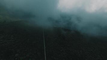 Misty Aerial View of a Dense Forest video