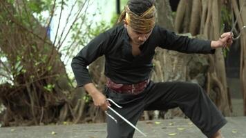 A martial artist in a black outfit and headband poses with traditional weapons in a natural setting. The background features trees and greenery, creating an outdoor atmosphere. video