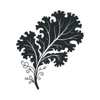 Dark green kale leaves with decorative swirls plant nature vector