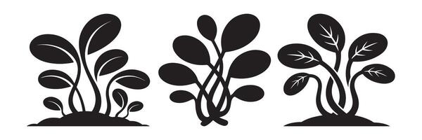 Black silhouettes of leafy plants growing from soil growth vector