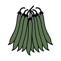 Green bean bunch beans food vector