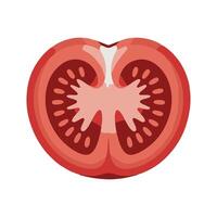 Red tomato slice with seeds food vector