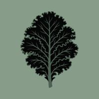 Black kale leaf with green veins on muted green background vector