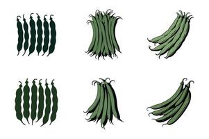 Green bean pods arranged in groups beans food vector