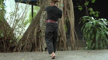 A martial artist performing a dynamic move in a lush outdoor setting, surrounded by trees and greenery. The scene captures action and agility, showcasing traditional attire and a focused expression. video