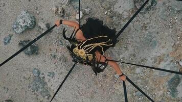 Aerial View of a Dramatic Costume Performance video
