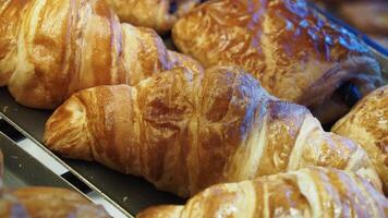Freshly baked croissants at a local bakery in the morning video