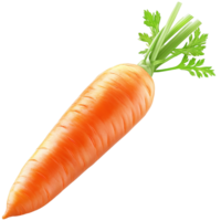 isolated carrot on transparent background png