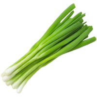 green onions on a transparent background png