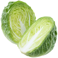 Fresh green cabbage isolated on transparent background png