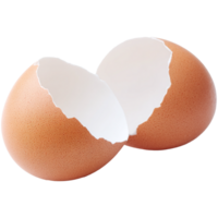 egg cracked open on transparent background png