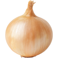 an onion on a transparent background png