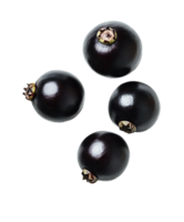 Four Glistening Blackcurrants on Transparent Background png