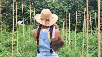 Latin farmer woman walking in the field carrying a hoe video