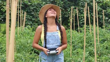 Latin farmer woman controlling a drone in a tomato plantation video