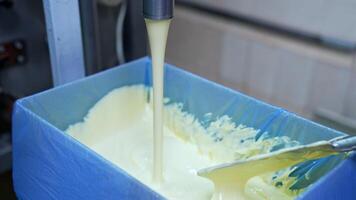 Factory for butter production. Creamy white dairy product pouring into box. Making fresh butter on a milk farm. Dairy product manufacturer. Hand of worker is mixing butter. Close-up. video