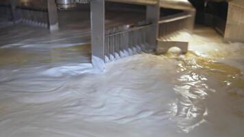 Process of making butter on a milk farm. Industrial equipment mixing dairy liquid for butter production. Close-up. video