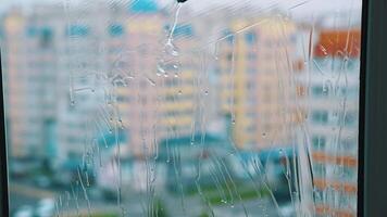 Window is cleaning with brush. Washing glass with clean water by special tool inside the flat. Professional window cleaning service. Close-up. video