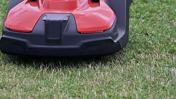 Close-up of a modern robotic lawn mower trimming green grass in a suburban garden environment video