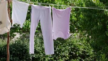 Freshly Washed Clothes Hanging Outdoors on a Sunny Day with Greenery Background video