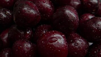 Close-up of Fresh Juicy Red Cherries Covered with Water Droplets in a Dark Setting for Natural Fruit Appeal video