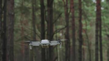 Compact drone flying smoothly through dense pine forest with natural green background in peaceful atmosphere video