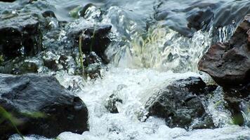 Close-up of water flowing over rocks in a stream, capturing the movement and energy of nature in a tranquil setting. video