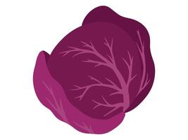 Red Cabbage Vegetable Cartoon Clip Art vector