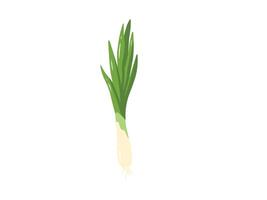 Leek Vegetable Cartoon Clip Art vector