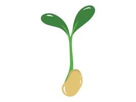 Sprouts Vegetable Cartoon Clip Art vector