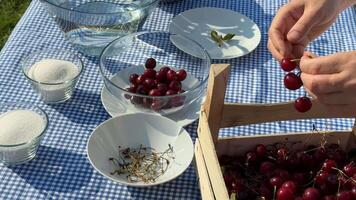 A hand prepares fresh cherries in a rustic setting, evoking summer picnics, organic farming, and culinary arts Caucasian adult video