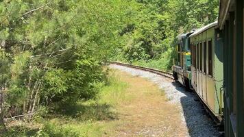 A vintage train navigates a lush forest curve, evoking nostalgia and adventure ideal for nature, travel, and exploration themes video